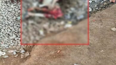 WhatsApp Image 2026 01 14 at 02.44.19 1