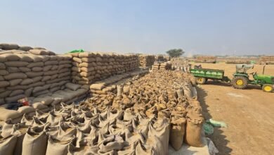 app 1766146933694543750d4e1 img 20251219 wa0347