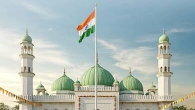 image editor output image 1508462915 1769090428848