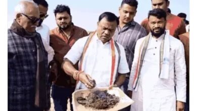 image editor output image 1723120545 1768480599729