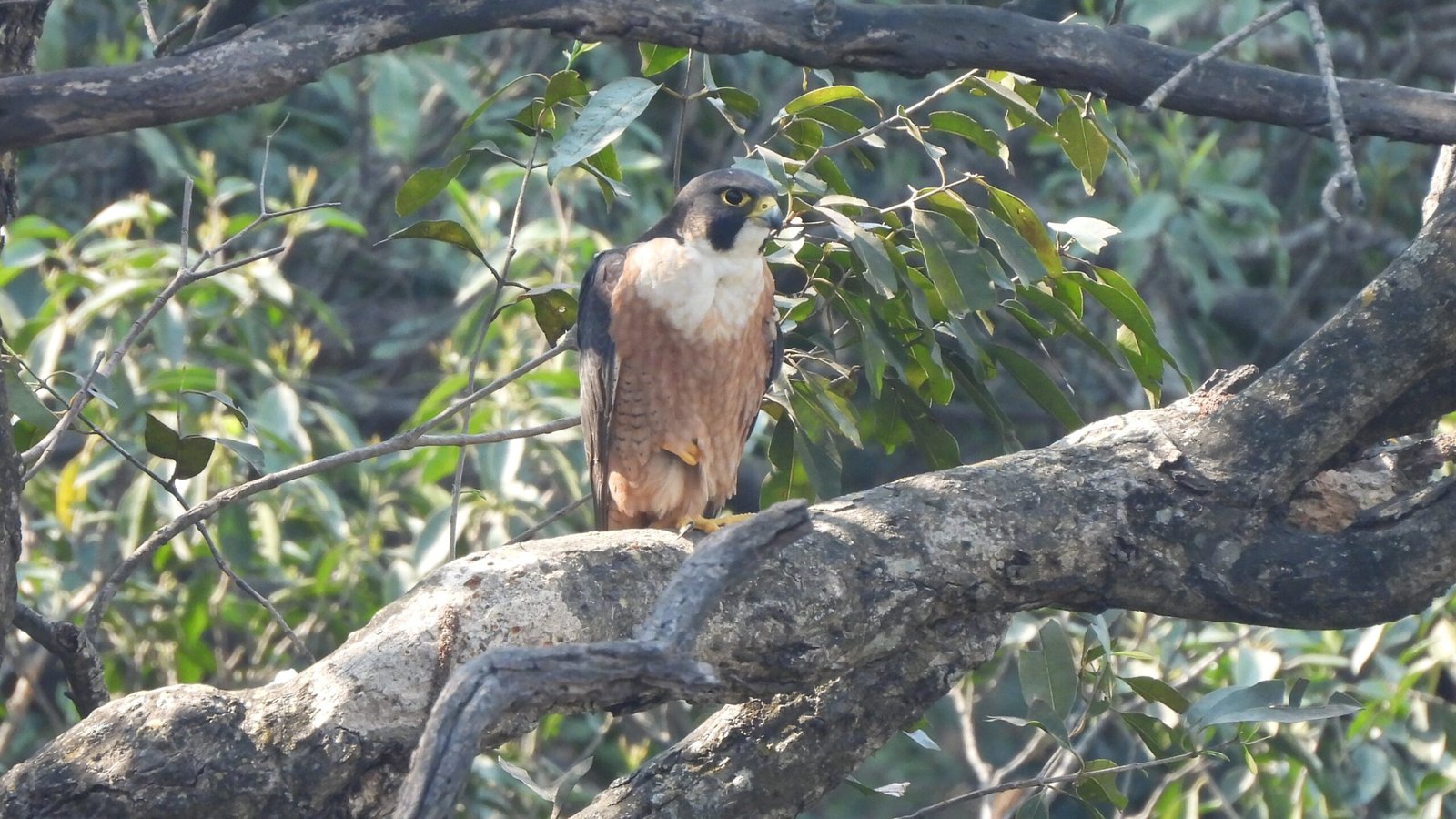 image editor output image 2006841953 1769850815869 scaled