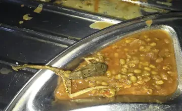 whatsapp image 2026 01 09 at 114207 1767939274