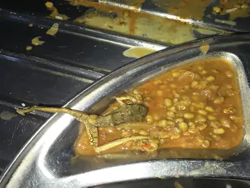 whatsapp image 2026 01 09 at 114207 1767939274