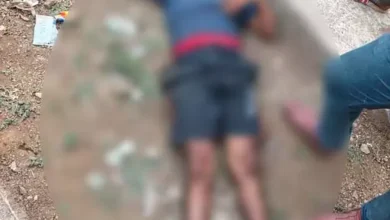 5211392 untitled 17 copy