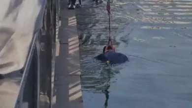 5217759 untitled 11 copy