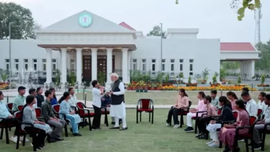 5222075 untitled 23 copy