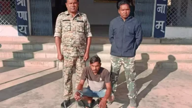 5224761 untitled 43 copy