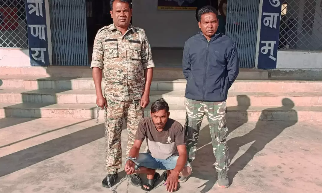 5224761 untitled 43 copy