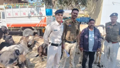 5226336 untitled 31 copy