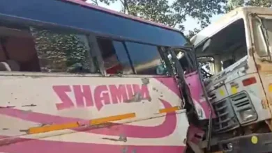 5229332 untitled 56 copy