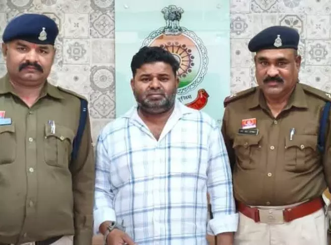 5240895 untitled 3 copy