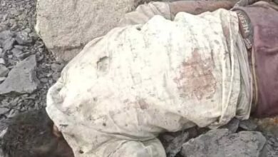 WhatsApp Image 2026 02 05 at 03.11.46