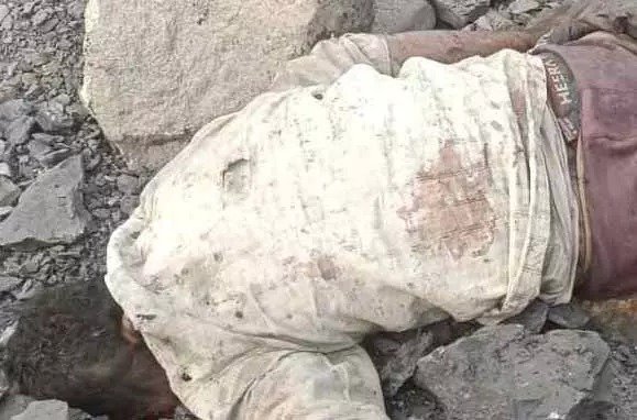 WhatsApp Image 2026 02 05 at 03.11.46