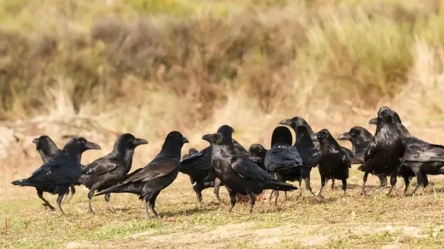 WhatsApp Image 2026 02 06 at 02.31.06