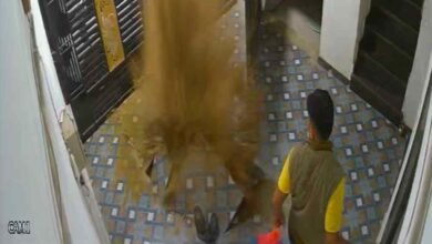 बिलासपुर में बड़ा हादसा टला : हाई प्रेशर से फटी घर की अंडरग्राउंड बोरिंग, CCTV में कैद हुआ धमाका 7 image 36 16