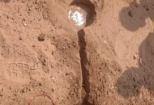 image editor output image2063565045 1771507425567