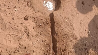 image editor output image2063565045 1771507425567