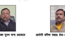 image editor output image663059393 1770302664366