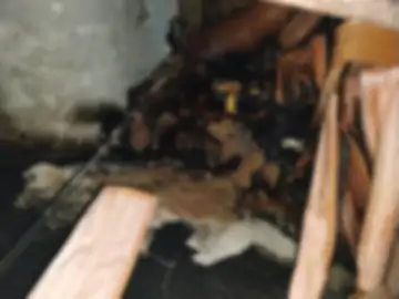 whatsapp image 2026 02 11 at 131210 1 1770798478 1