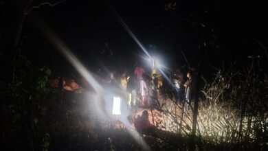 1004463608 1774762051