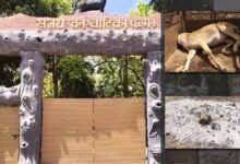 Wildlife activist raises questions over 'illegal' zoos in Chhattisgarh after 15 deer die in Ambikapur 6 29922203202609094036
