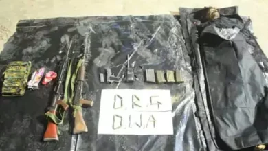 5276566 untitled 23 copy