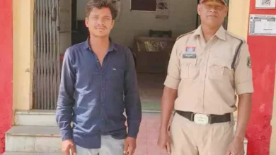 5277577 untitled 54 copy