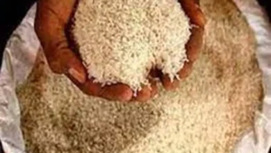 5278687 untitled 32 copy