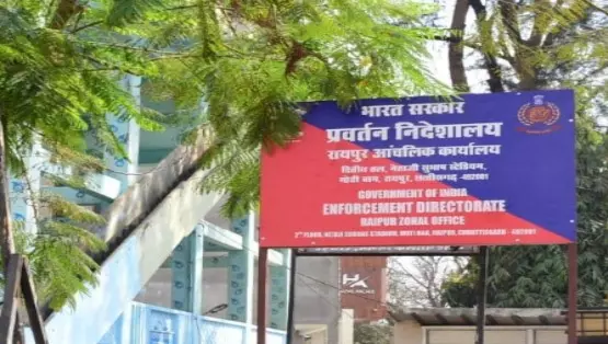 5300265 untitled 17 copy