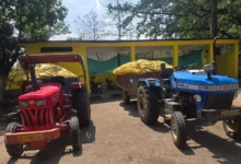 Raigarh Police Bust Illicit Opium Farm, Seize Produce Worth ₹2.05 Crore 6 5308585 untitled 7 copy