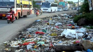 5312432 untitled 65 copy