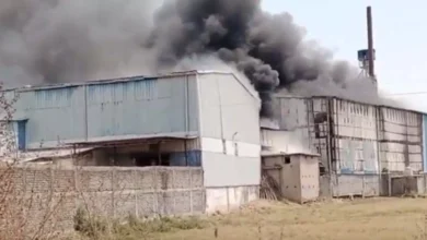 5314130 untitled 78 copy