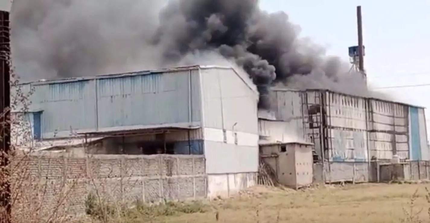 5314130 untitled 78 copy