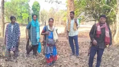 5317761 untitled 32 copy