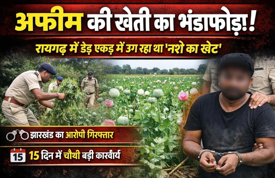 15 दिन में चौथी कार्रवाई: रायगढ़ में अफीम की बड़ी खेती उजागर, झारखंड कनेक्शन सामने आया 1 IMG 20260320 WA0014
