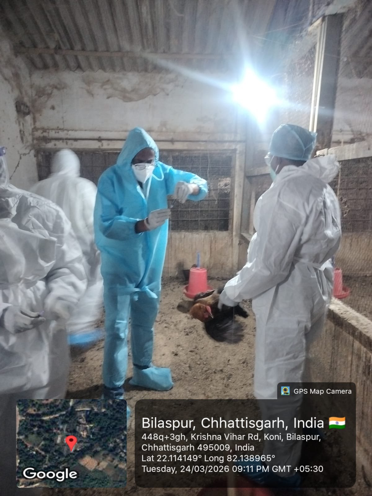 बिलासपुर में बर्ड फ्लू का अलर्ट: प्रशासन ने 22 हजार से अधिक पक्षियों का नष्टीकरण कर फैलाव रोका, 24 घंटे कंट्रोल रूम सक्रिय 1 IMG 20260326 WA0014