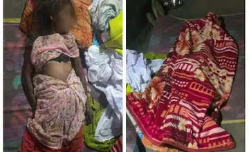 befunky collage 11 1 1773066258