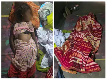 befunky collage 11 1 1773066258