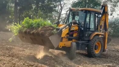 दुर्ग में 5 एकड़ से ज्यादा जमीन पर अफीम की खेती: प्रशासन का बुलडोजर एक्शन, मक्के के बीच छिपाए पौधे; 4 लोग गिरफ्तार 5 image 2026 03 08T225539.240