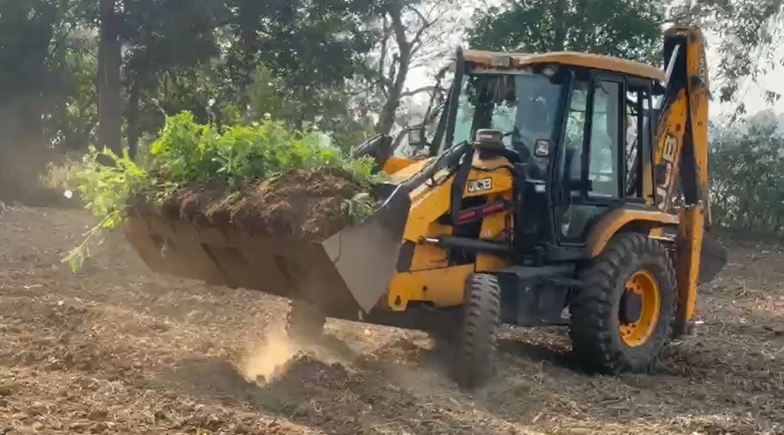 दुर्ग में 5 एकड़ से ज्यादा जमीन पर अफीम की खेती: प्रशासन का बुलडोजर एक्शन, मक्के के बीच छिपाए पौधे; 4 लोग गिरफ्तार 1 image 2026 03 08T225539.240