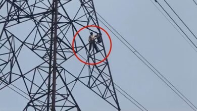 image 2026 03 16T132400.478 1