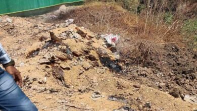 image 2026 03 24T202845.667