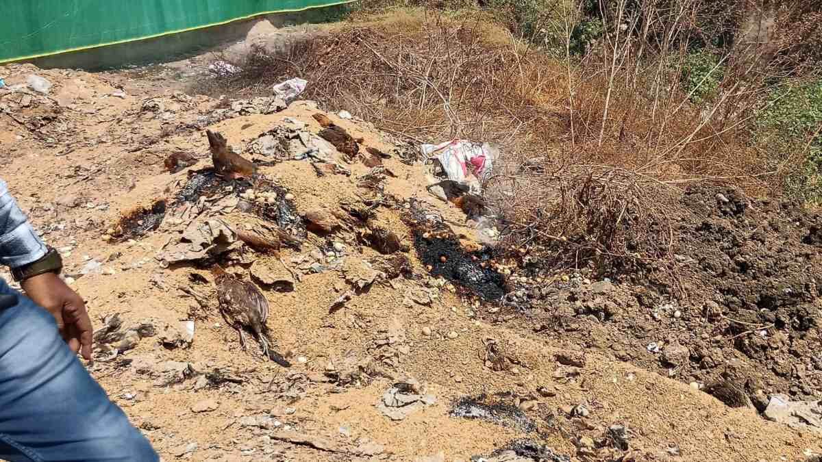 image 2026 03 24T202845.667