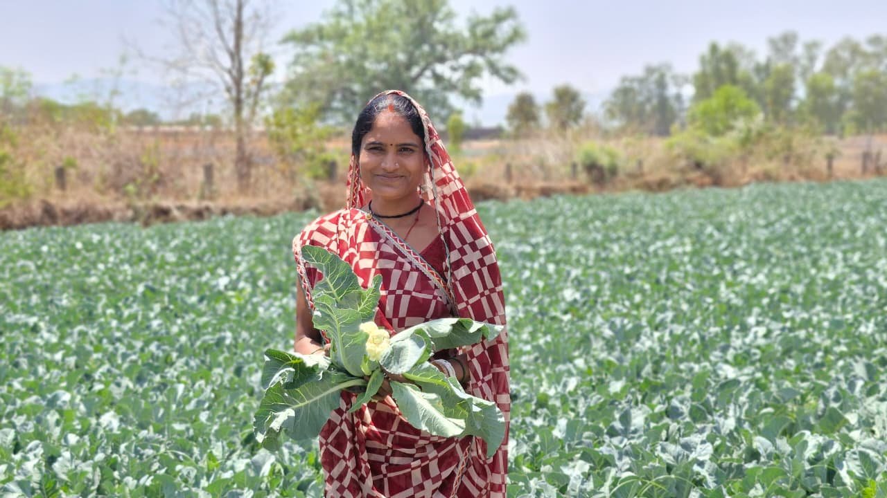 1776236610 63570932097f19e69063