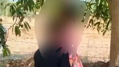 5328884 untitled 56 copy