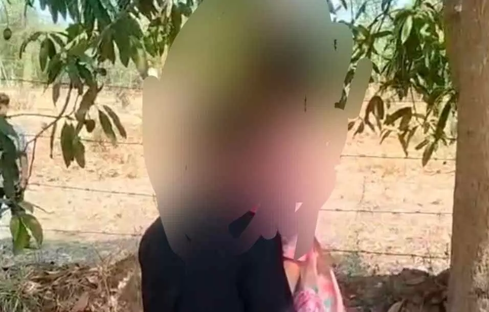 5328884 untitled 56 copy