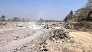 5329287 untitled 14 copy