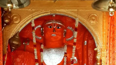 5329947 untitled 23 copy