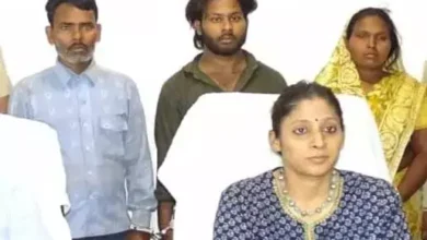 5330695 untitled 41 copy