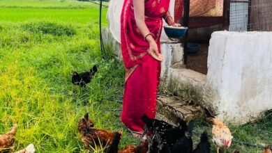 दीदी के बखरी से बदल रही तस्वीर: कांकेर में 3364 महिलाएं एकीकृत खेती से कमा रहीं 25 हजार महीना 5 IMG 20260412 WA0019